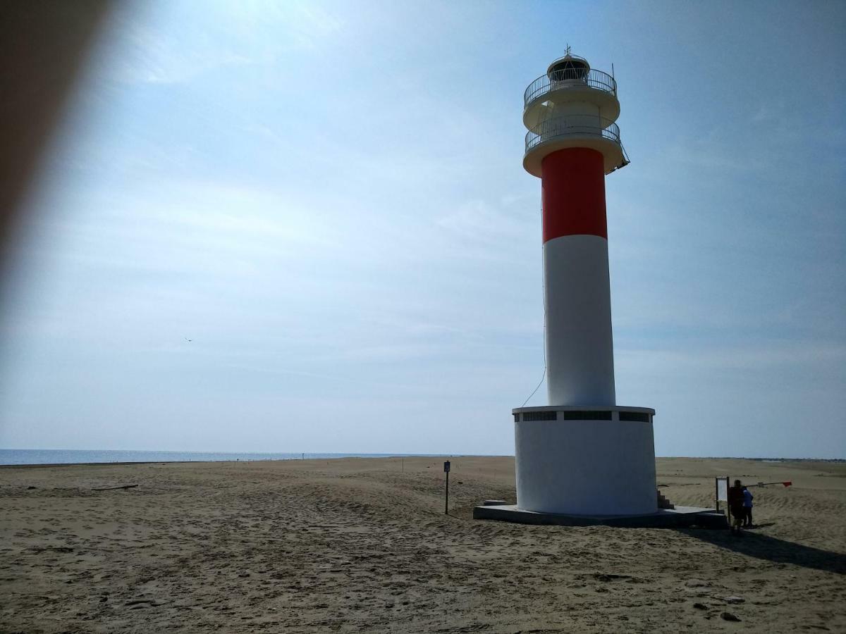 Mi Apartamento En El Delta Del Ebro+ Deltebre Eksteriør billede