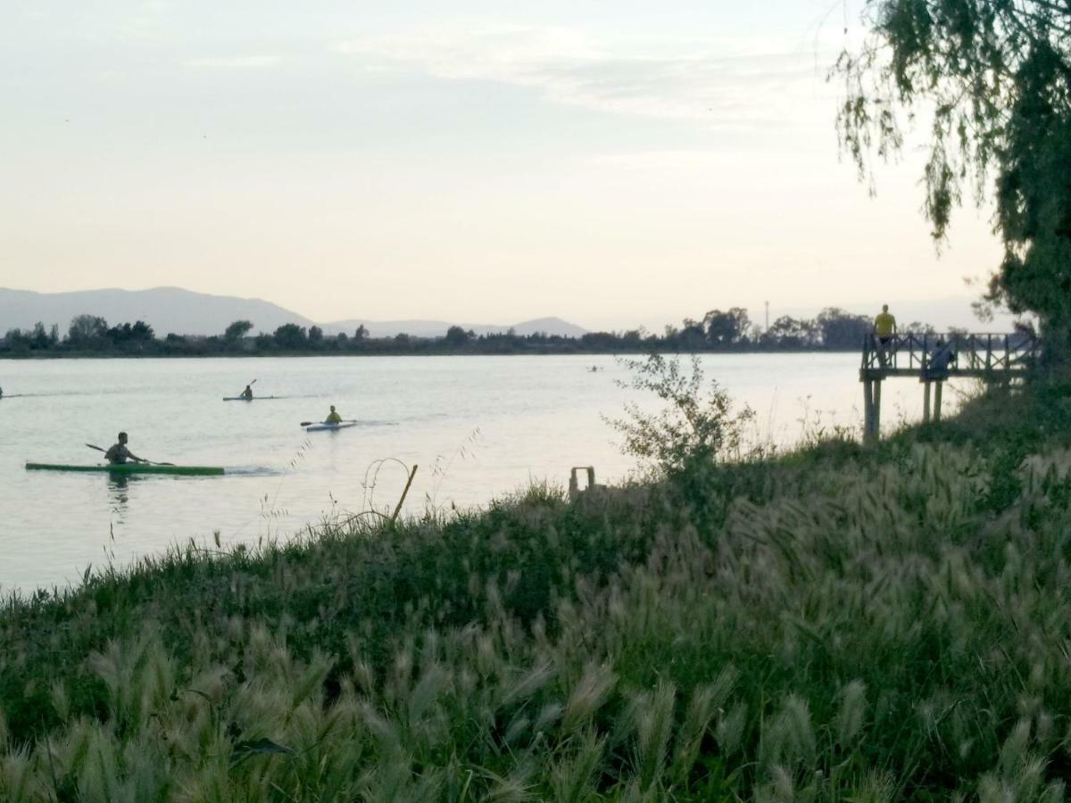 Mi Apartamento En El Delta Del Ebro+ Deltebre Eksteriør billede