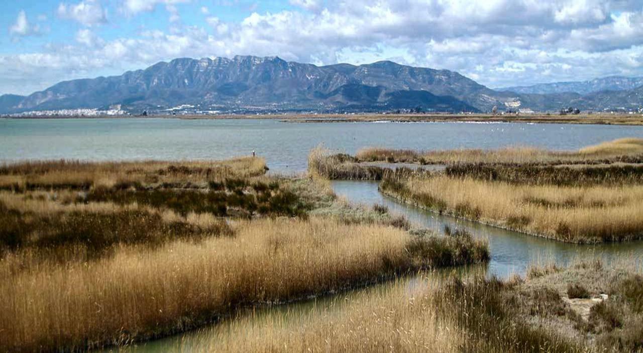 Mi Apartamento En El Delta Del Ebro+ Deltebre Eksteriør billede