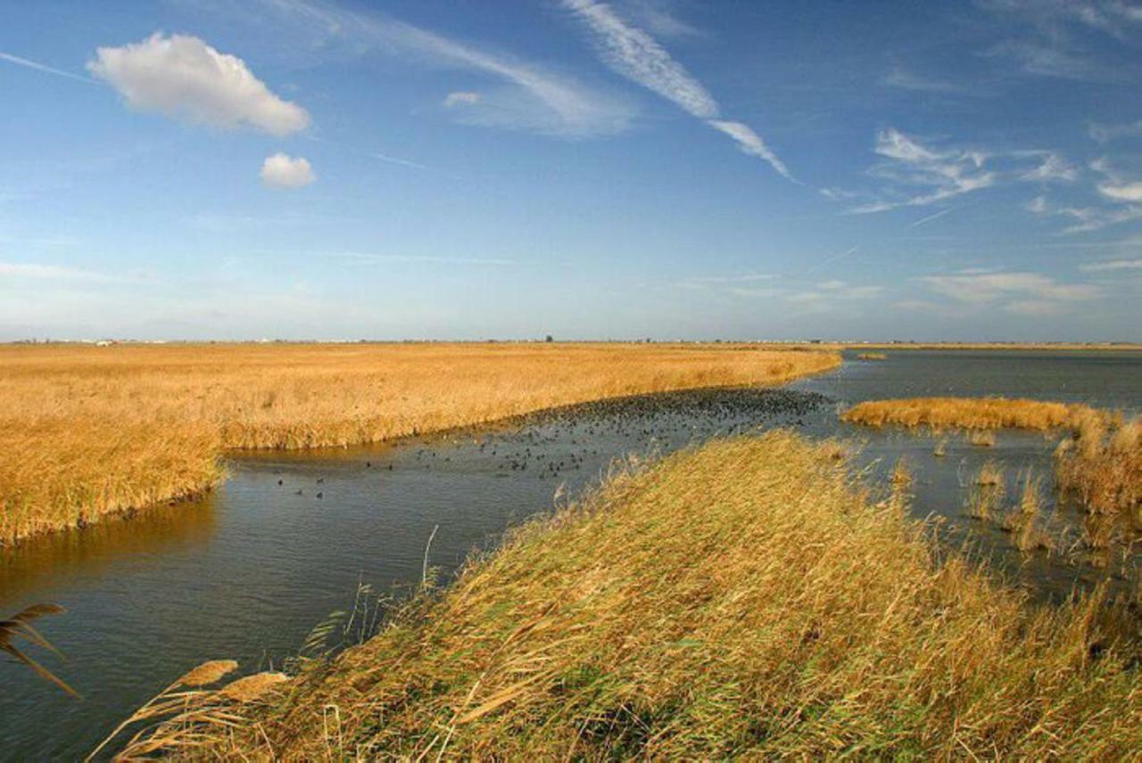 Mi Apartamento En El Delta Del Ebro+ Deltebre Eksteriør billede