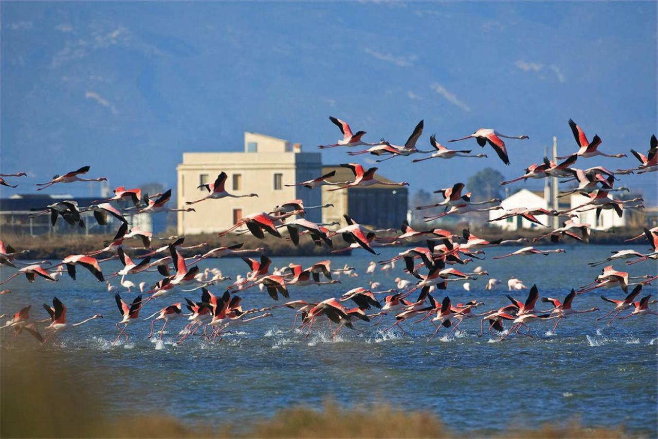 Mi Apartamento En El Delta Del Ebro+ Deltebre Eksteriør billede