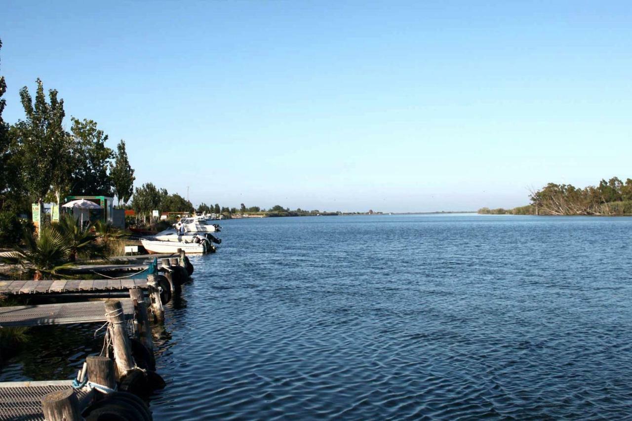 Mi Apartamento En El Delta Del Ebro+ Deltebre Eksteriør billede