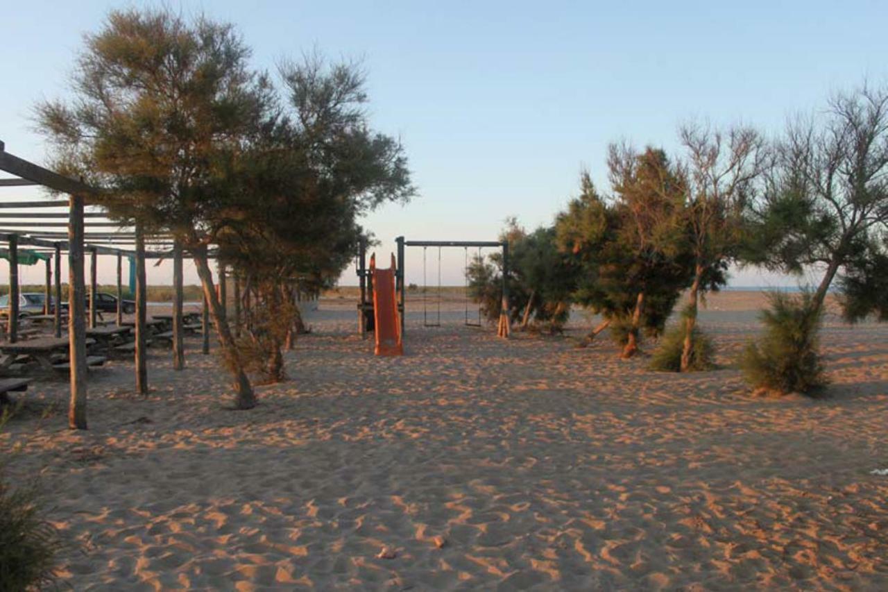 Mi Apartamento En El Delta Del Ebro+ Deltebre Eksteriør billede